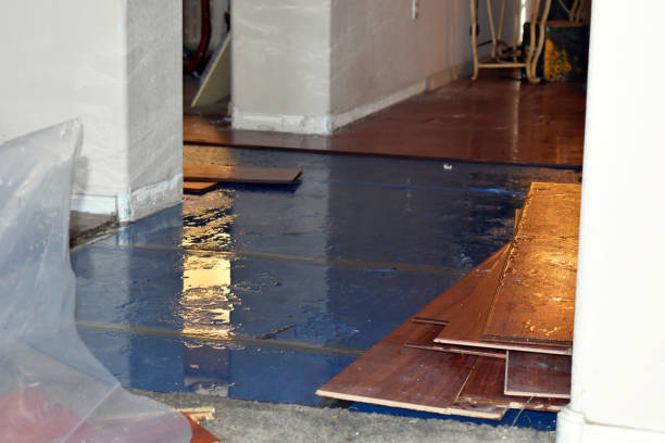 Professional Basement Flood Cleanup technician working in Big Bend, WI